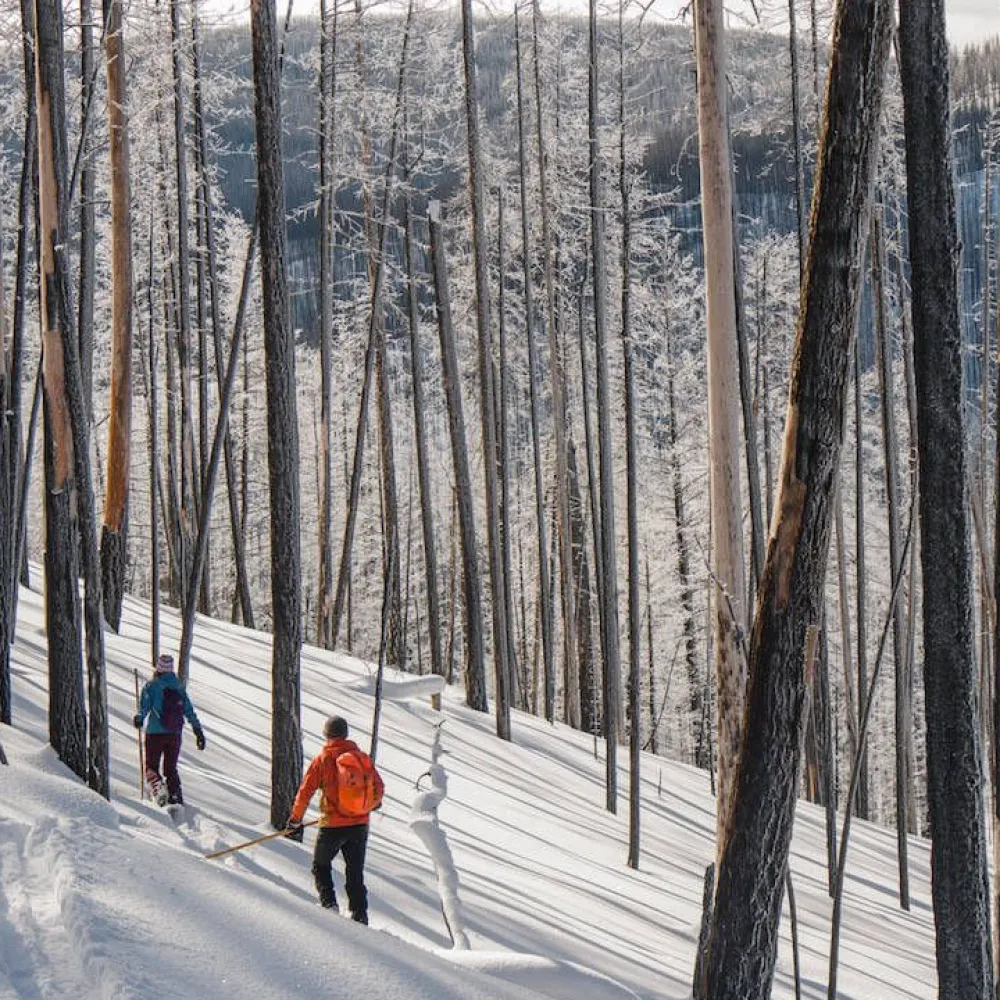 Altai Hiihtourheilu|liukulumikenkä Hok 145 cm + Pivot siteet