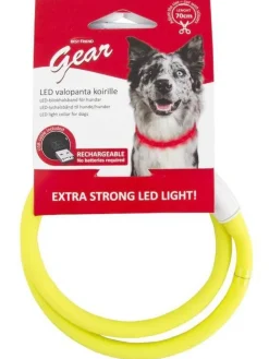 Best Friend Koirat|Gear BF Gear LED valopanta 70cm säädettävä