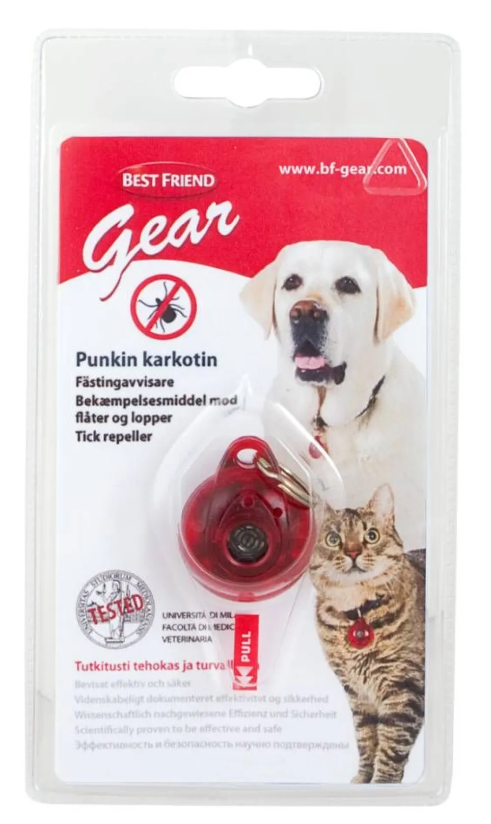 Best Friend Koirat|Gear BF Gear Punkinkarkotin