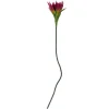Bloomingville Koriste-Esineet|koristeoksa Lily violetti