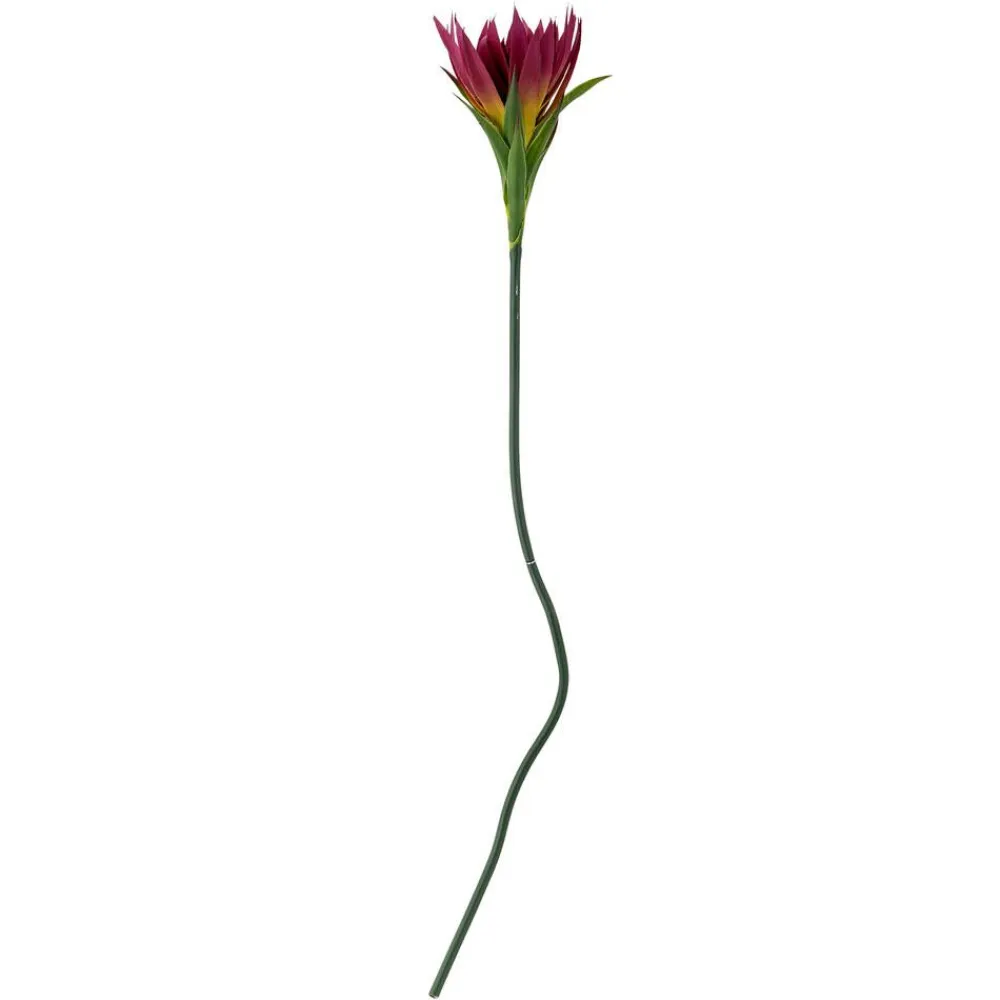 Bloomingville Koriste-Esineet|koristeoksa Lily violetti