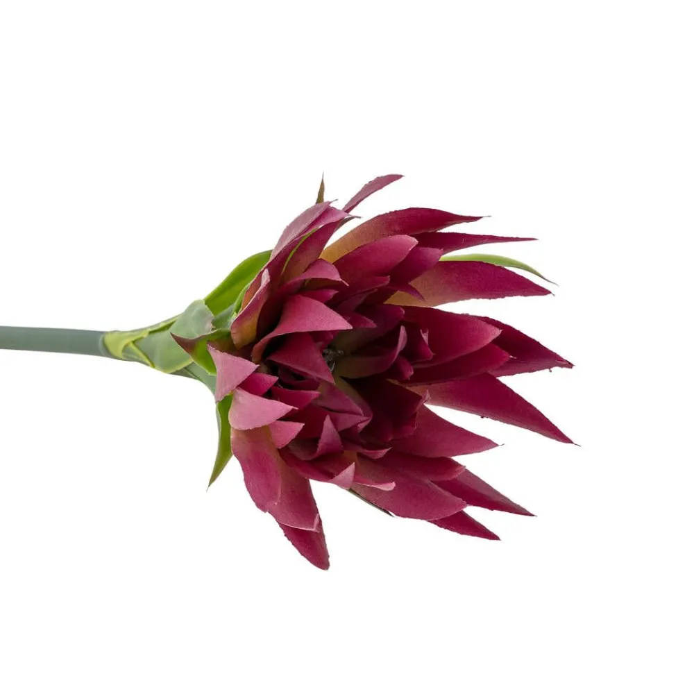 Bloomingville Koriste-Esineet|koristeoksa Lily violetti