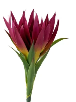 Bloomingville Koriste-Esineet|koristeoksa Lily violetti
