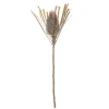 Bloomingville Koriste-Esineet|koristeoksa Palmflower ruskea