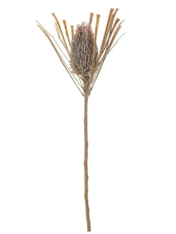 Bloomingville Koriste-Esineet|koristeoksa Palmflower ruskea