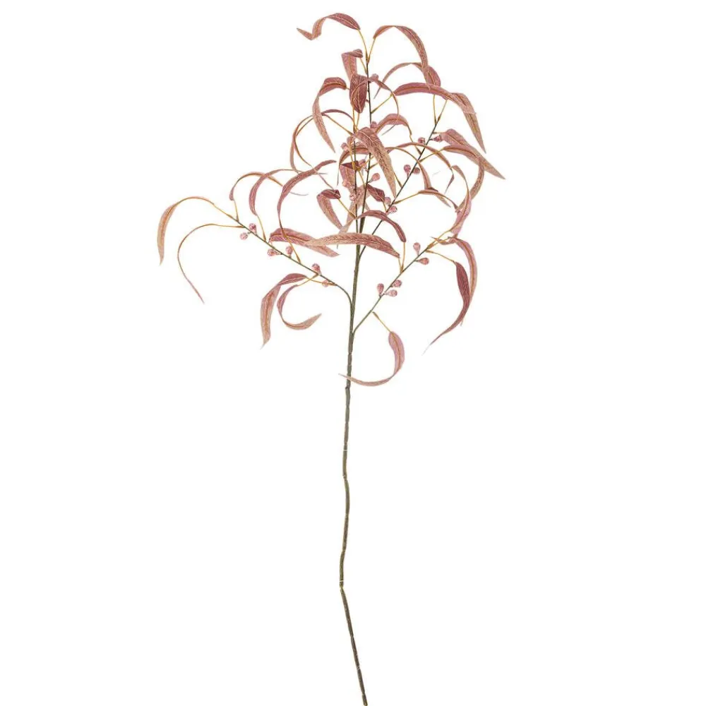 Bloomingville Koriste-Esineet|koristeoksa Eucalyptus punainen