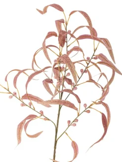 Bloomingville Koriste-Esineet|koristeoksa Eucalyptus punainen