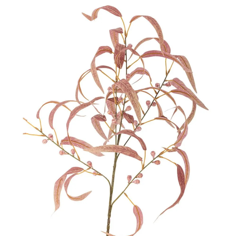 Bloomingville Koriste-Esineet|koristeoksa Eucalyptus punainen