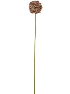 Bloomingville Koriste-Esineet|koristeoksa Allium ruskea
