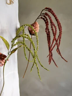 koristeoksa Foxtail punaruskea><noscript><img width=