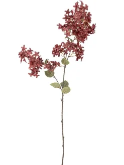 Bloomingville Koriste-Esineet|koristeoksa Myrtle viininpunainen