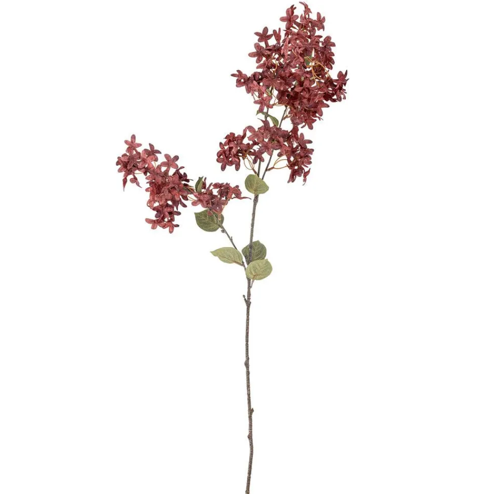 Bloomingville Koriste-Esineet|koristeoksa Myrtle viininpunainen