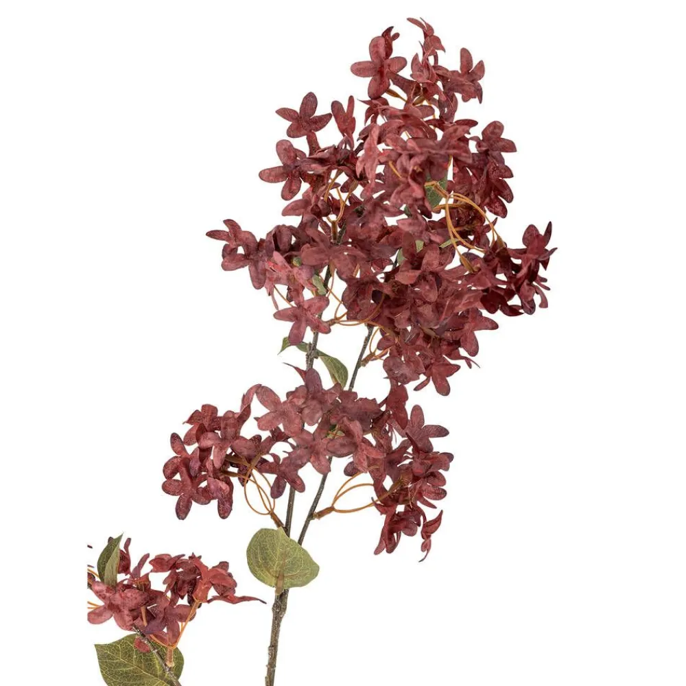 Bloomingville Koriste-Esineet|koristeoksa Myrtle viininpunainen