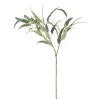 Bloomingville Koriste-Esineet|koristeoksa Eucalyptus vihreä