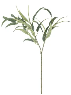 Bloomingville Koriste-Esineet|koristeoksa Eucalyptus vihreä