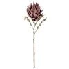 koristeoksa Protea violetti>Bloomingville Online