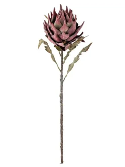 koristeoksa Protea violetti>Bloomingville Online