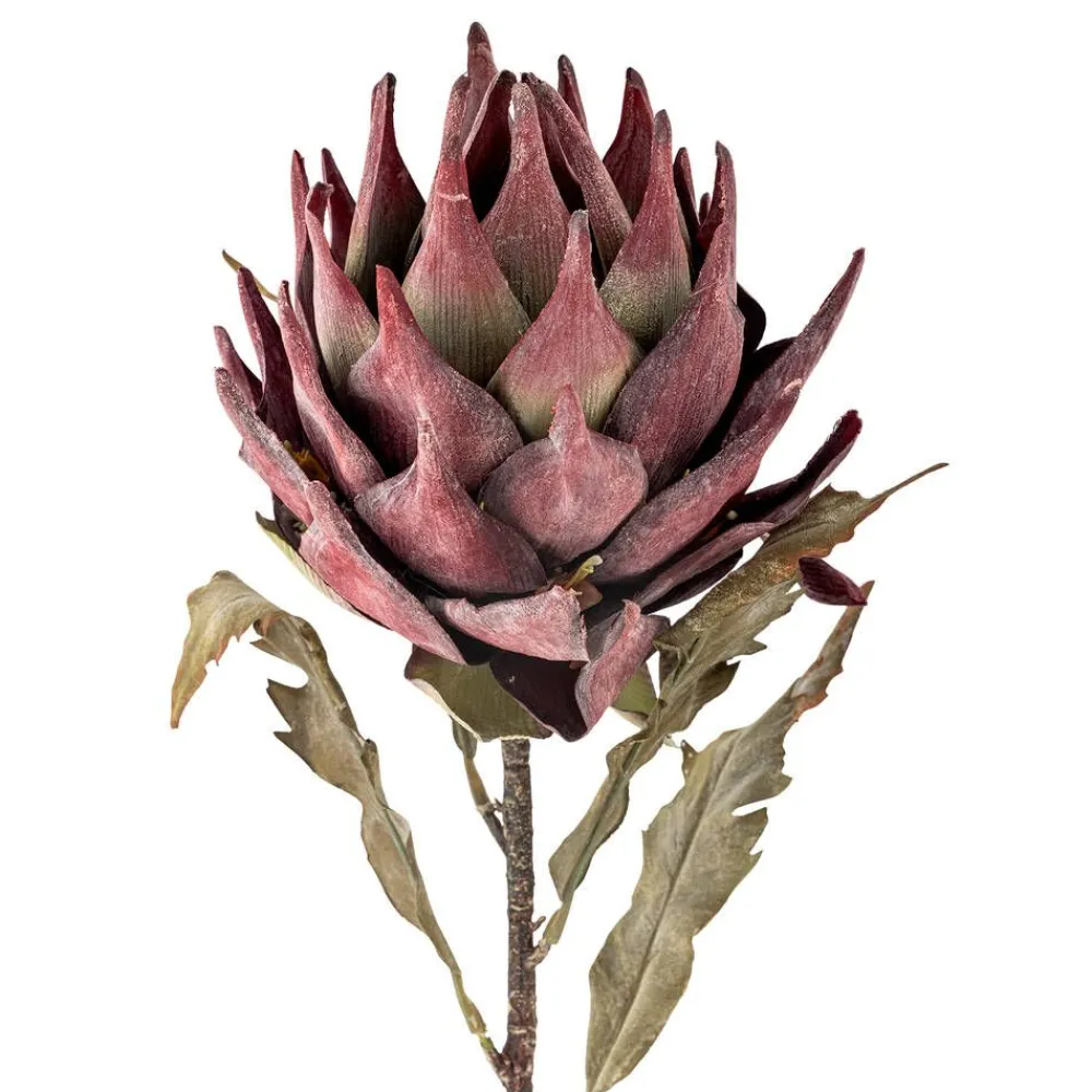 koristeoksa Protea violetti>Bloomingville Online