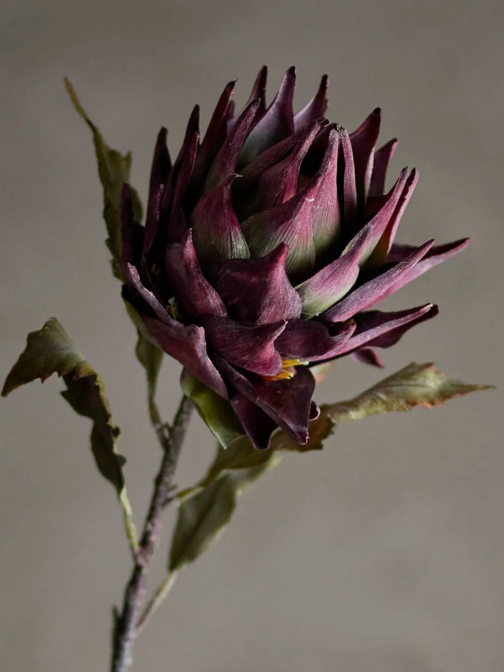 koristeoksa Protea violetti>Bloomingville Online