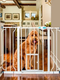 leveä Lemmikkiportti valkoinen>Carlson Pet Products New