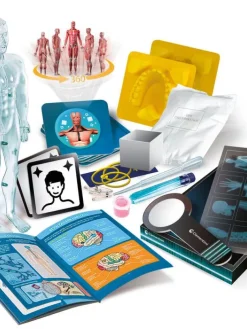 tiedesetti Anatomia Super>Clementoni Online