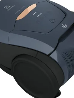 Electrolux Silitys Ja Siivous|pölynimuri PD82-8DB