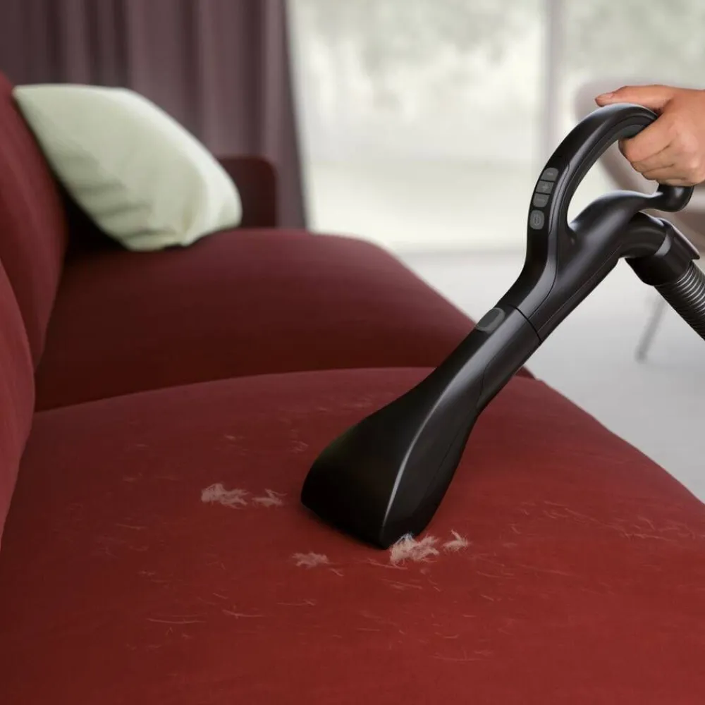 Electrolux Silitys Ja Siivous|pölynimuri PD82-8DB