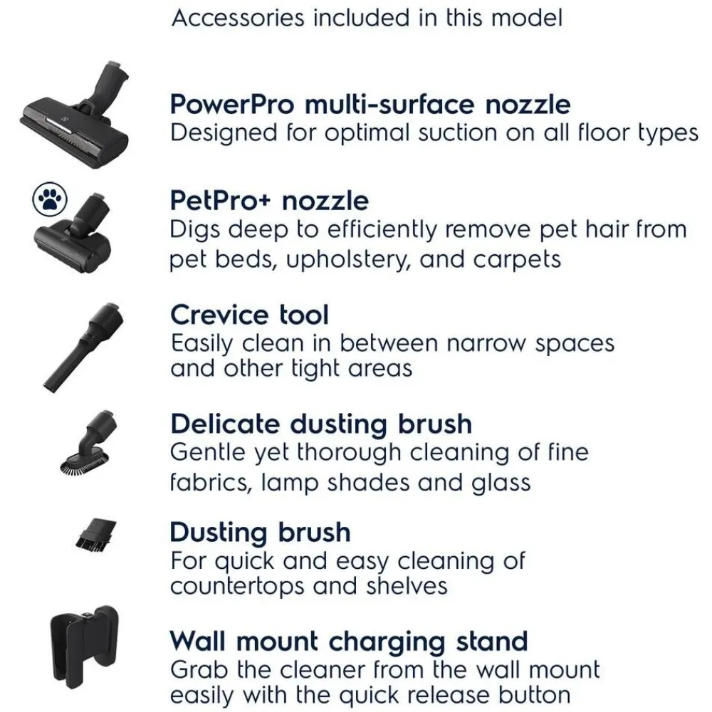 varsi-imuri Animal 700 EP71AB14UG harmaa>Electrolux Clearance