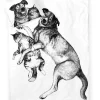 Finlayson Vuodetekstiilit|pussilakanasetti Selviytyjät 150x210+50x60 musta/valkoinen