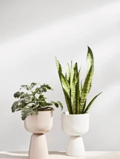 Iittala Maljakot Ja Ruukut|Nappula Ruukku 260x155 mm beige