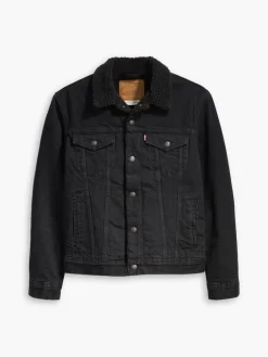 Levi's Talvitakit|farkkutakki Berk Sherpa Trucker 0100 Berk