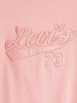Levi's Trikoopaidat Ja Colleget|t-paita Graphic Boxy t-shirt