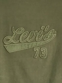 Levi's Trikoopaidat Ja Colleget|t-paita Graphic Boxy t-shirt