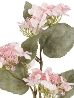 hortensia oksa valkoinen>4Living Hot