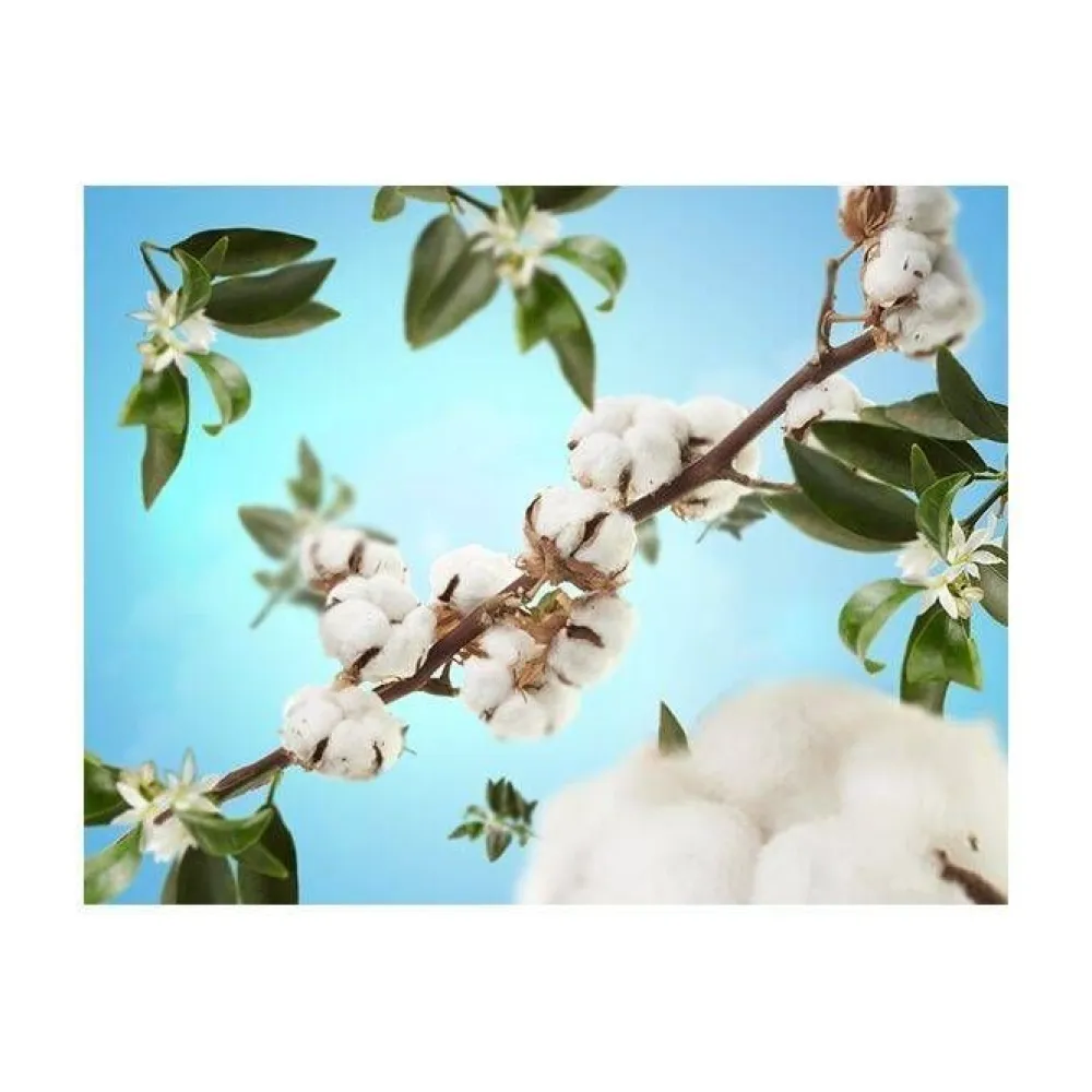 Maison Berger Tuoksukynttilät Ja Huonetuoksut|Kynttilät Ja Huonetuoksut|huonetuoksu Cotton Caress 100 ml