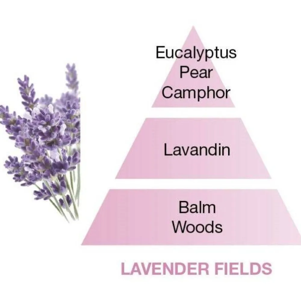 Maison Berger Tuoksukynttilät Ja Huonetuoksut|Kynttilät Ja Huonetuoksut|huonetuoksu Lavender Fields 100 ml