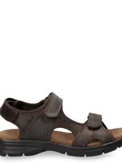 Panama Jack Sandaalit|sandaalit Salton Basics C1 C1 Marron / Brown