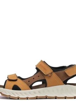 Pomar Sandaalit|sandaalit Hiekka 102 Tan / Brown