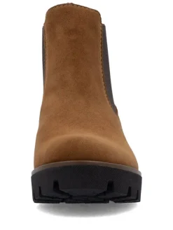 chelseat 79265-22><noscript><img width=