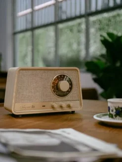 radio WR-101 Bluetooth vaalea tammi><noscript><img width=