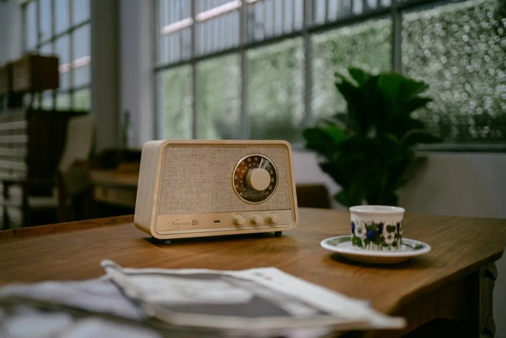 radio WR-101 Bluetooth vaalea tammi>Sangean Best