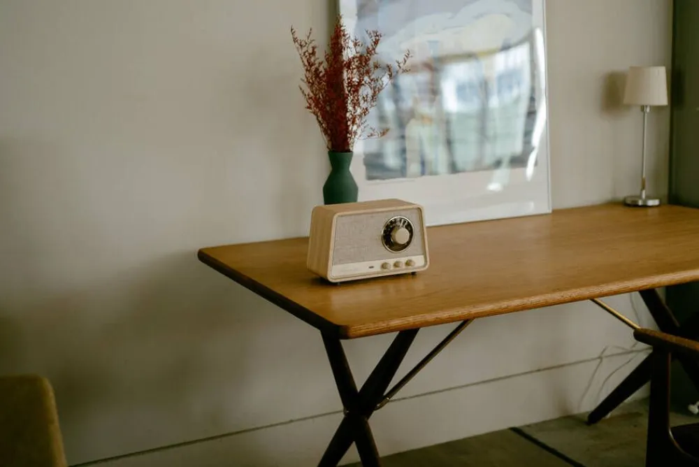radio WR-101 Bluetooth vaalea tammi>Sangean Best