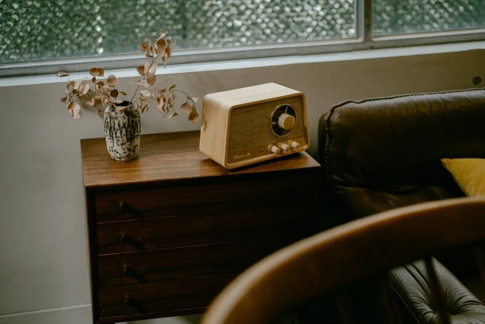 radio WR-101 Bluetooth vaalea tammi>Sangean Best