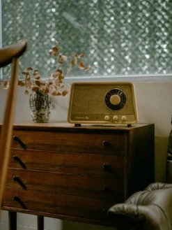 radio WR-101 Bluetooth vaalea tammi><noscript><img width=