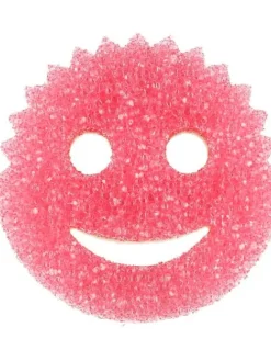 puhdistussieni Scrub Mommy>Scrub Daddy Best