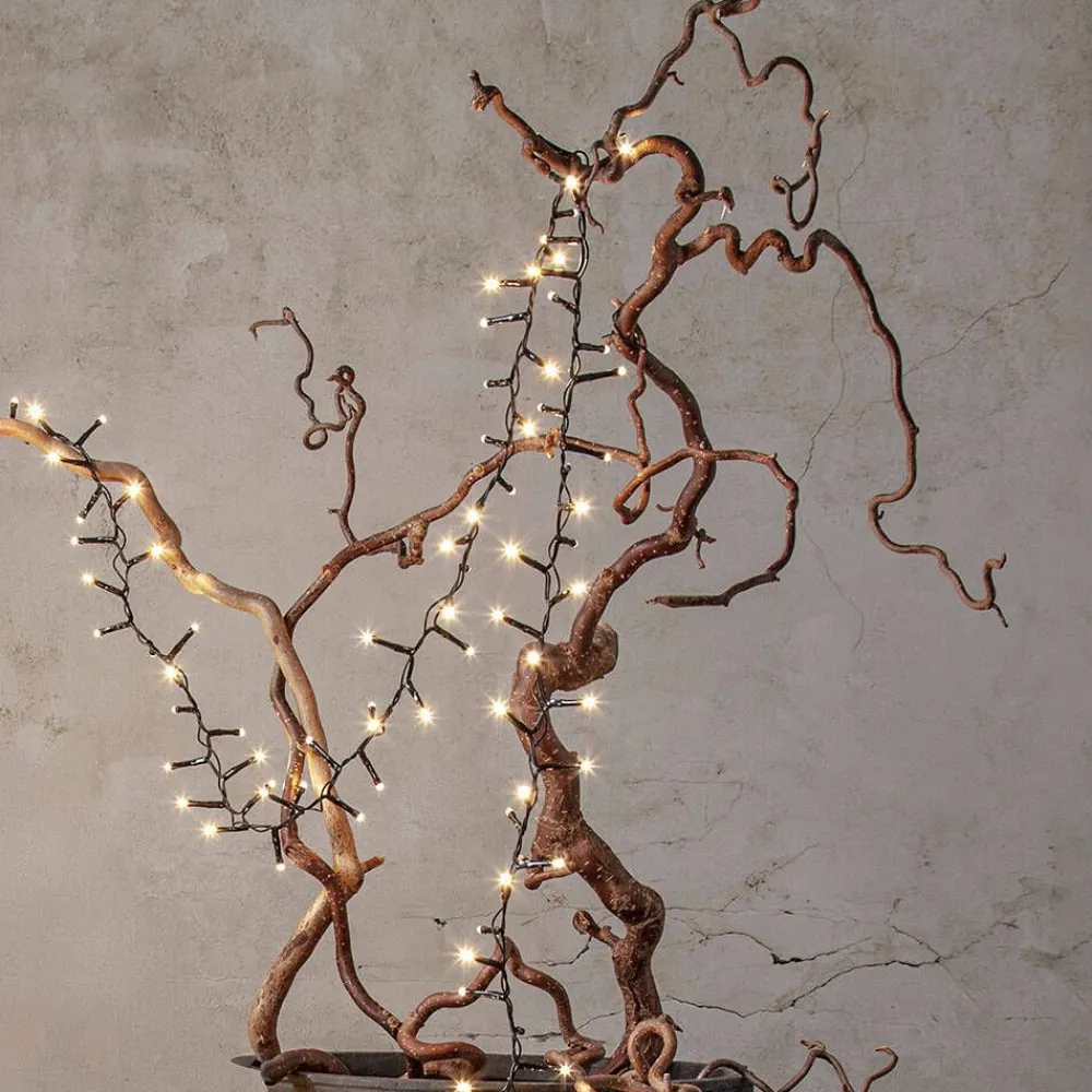 Star Trading Koriste- Ja Kausivalot|LED-valosarja Shiny Warm White 80-os. 5,6 m