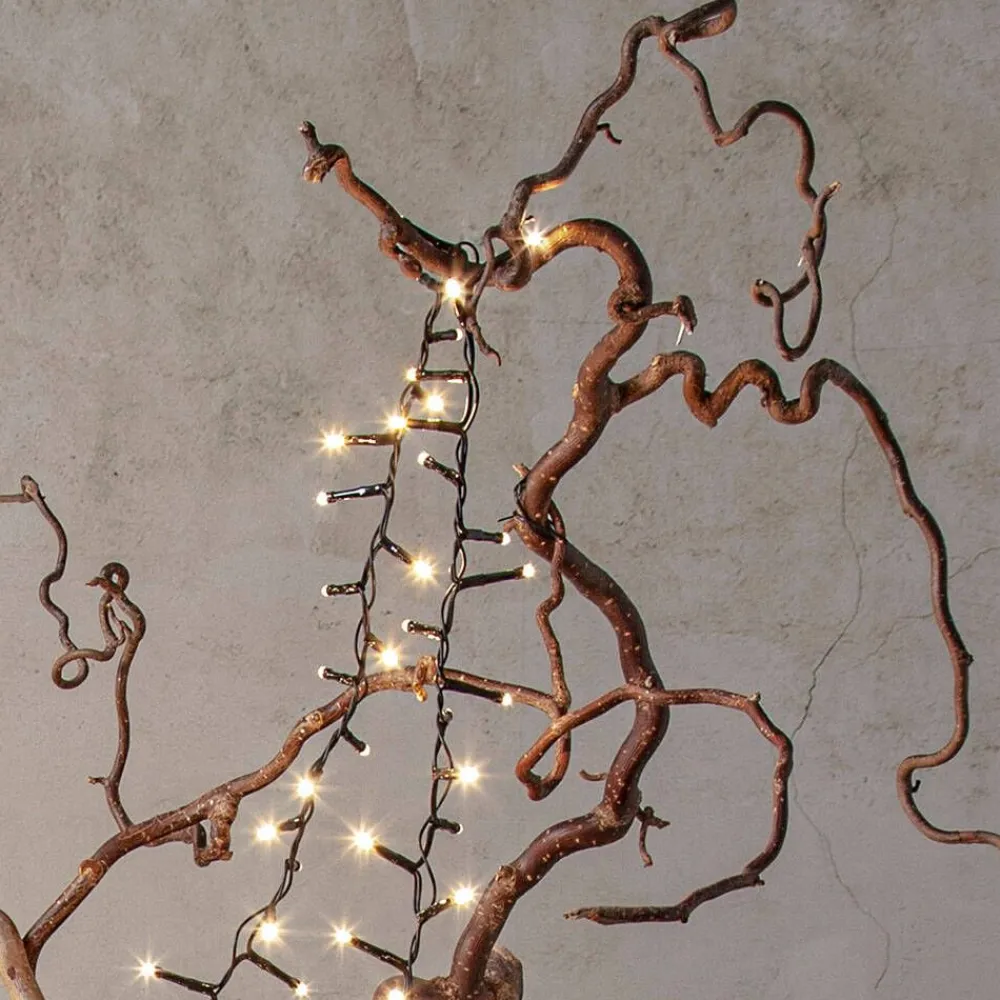 Star Trading Koriste- Ja Kausivalot|LED-valosarja Shiny Warm White 40-os. 2,8 m