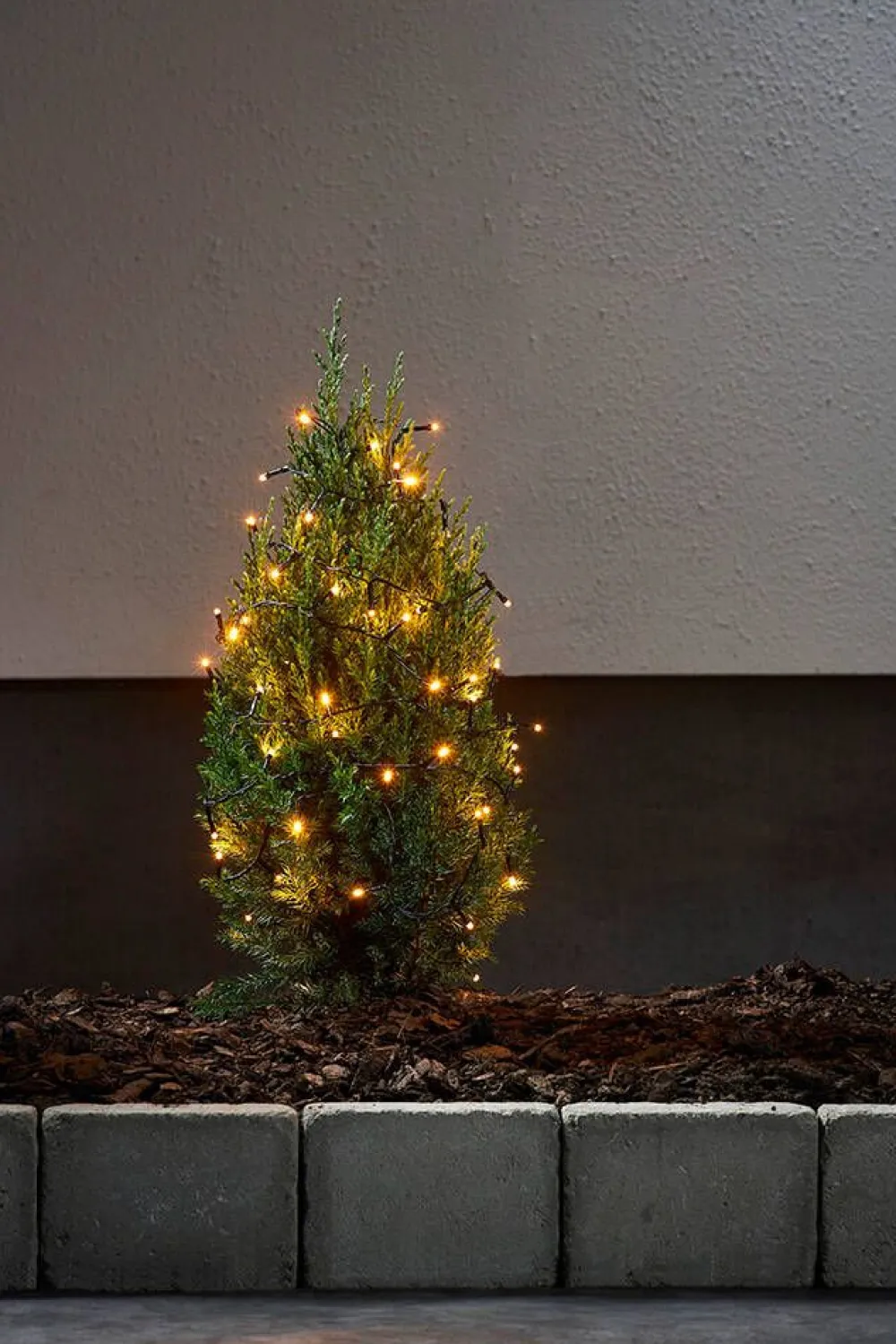 valosarja Golden Warm White 40 LED musta 2,8m>Star Trading Online