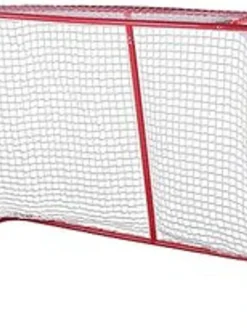 Toronto Palloilu Ja Frisbee|salibandymaali