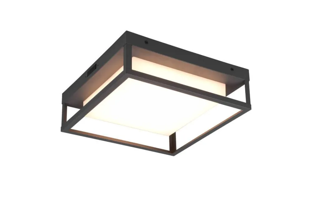 Trio Lighting Ulkovalaisimet|LED kattovalaisin Witham antrasiitti